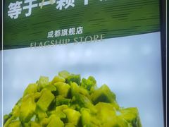 -茉酸奶(春熙路店)