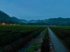 -威廉的太妃糖酒店(杭州西湖青芝坞店)