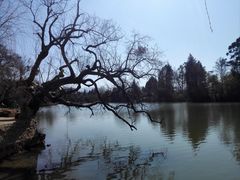 -黑龙潭公园