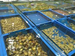 -山东八大碗山东老字号