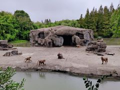 -宁波野生动物园