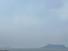 -涉地可支