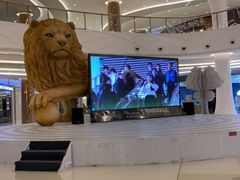 -棕榈MALL
