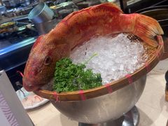 -顺德美的万豪酒店·自助餐·贡厨
