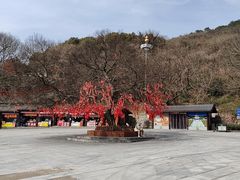 -句容茅山景区