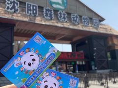 -沈阳森林动物园