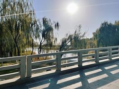 -大兴滨河森林公园