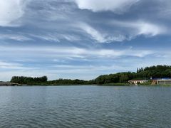 -大兴滨河森林公园