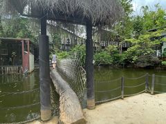 -大树头森林餐厅