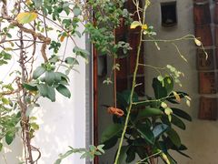-花迹(富春江东街店)