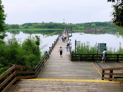 -溱湖国家湿地公园