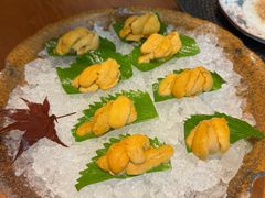 -月龍吟(朝龙汇店)