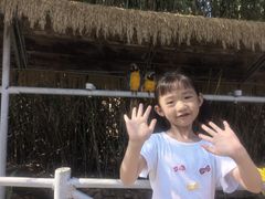 -西霞口神雕山野生动物世界