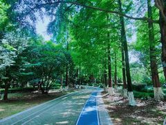 -苏州河梦清园环保主题公园