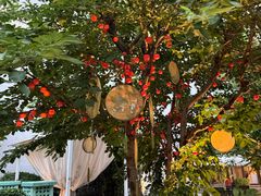 -庐灶江南·江南菜·四合院Bistro(东直门雍和宫·原华侨宾馆店)