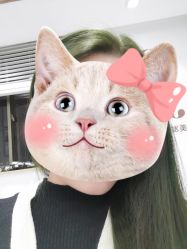 -镁连社·美联社