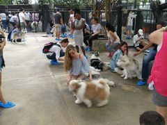 -TrueLove @ Neverland (Husky Cafe)