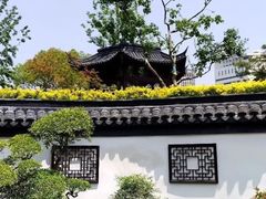-和平公园