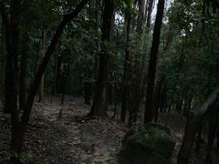 -火炉山森林公园