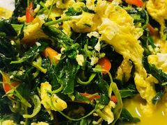 -煲来饱去冷水鱼