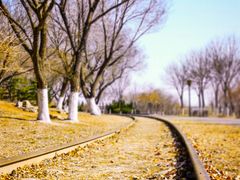 -永定河休闲森林公园