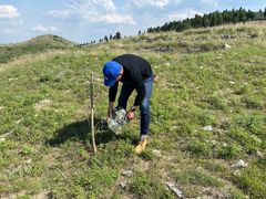 -梧桐餐厅(泉城路店)