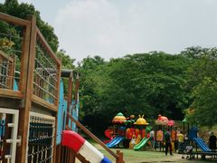 -白马涧龙池景区