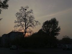 -辽宁大学(崇山校区)
