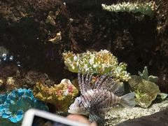 -杭州海底世界