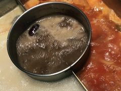 -巴奴毛肚火锅(大剧院店)
