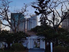 -中山公园