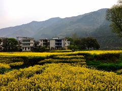-新安江山水画廊风景区