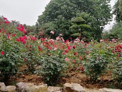 -汉水公园