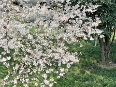 -IKEA宜家家居(南京商场)