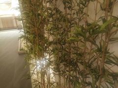 -大無·观心健康体质调理馆