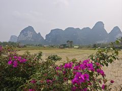 -明仕田园