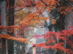 -常寂光寺