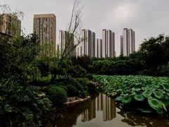 -龙头寺公园