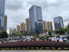 -德元兰州纯汤牛肉面