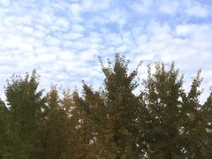 -汉景帝阳陵博物院