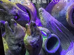 -太平洋海底世界