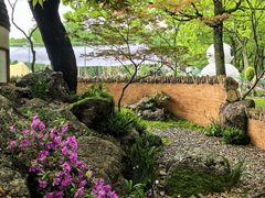 -上海鲜花港