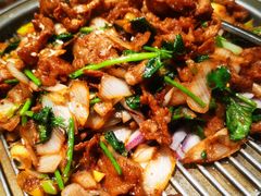 贝勒烤肉-北平楼·烤鸭·北京菜(牡丹园店)