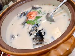 -全乐鱼馆·淳牌有机鱼直营店