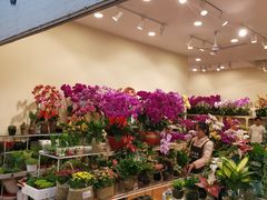 -双季花艺园艺市场(浦东店)