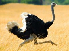 -蔡林记(钟楼店)