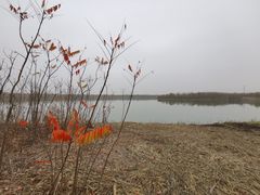 -天津东丽湖风景区