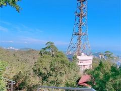 -板樟山森林公园