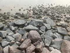 -深圳湾公园(南山区)