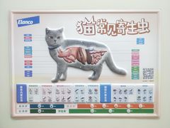 -嘉美宠物医院